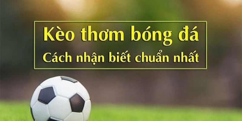 Một số cách nhận biết kèo thơm chuẩn xác